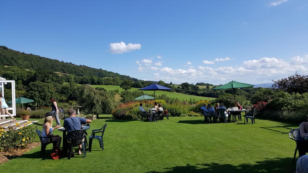 Guest house Tregonwell House - 4*