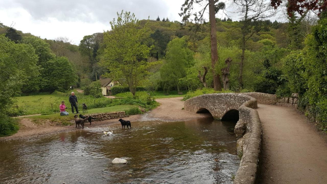 Tregonwell House - 4*